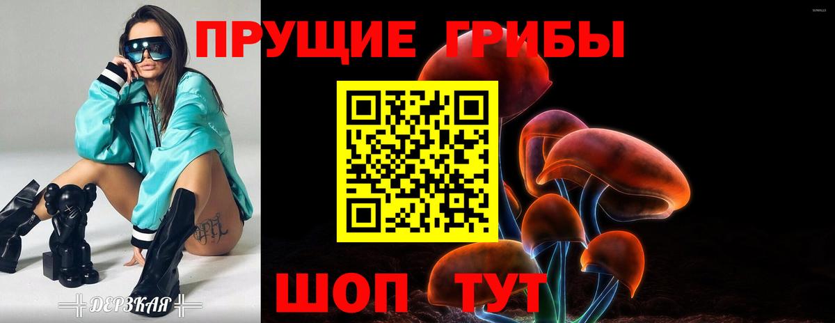 Псилоцибиновые грибы Psilocybe Татарск